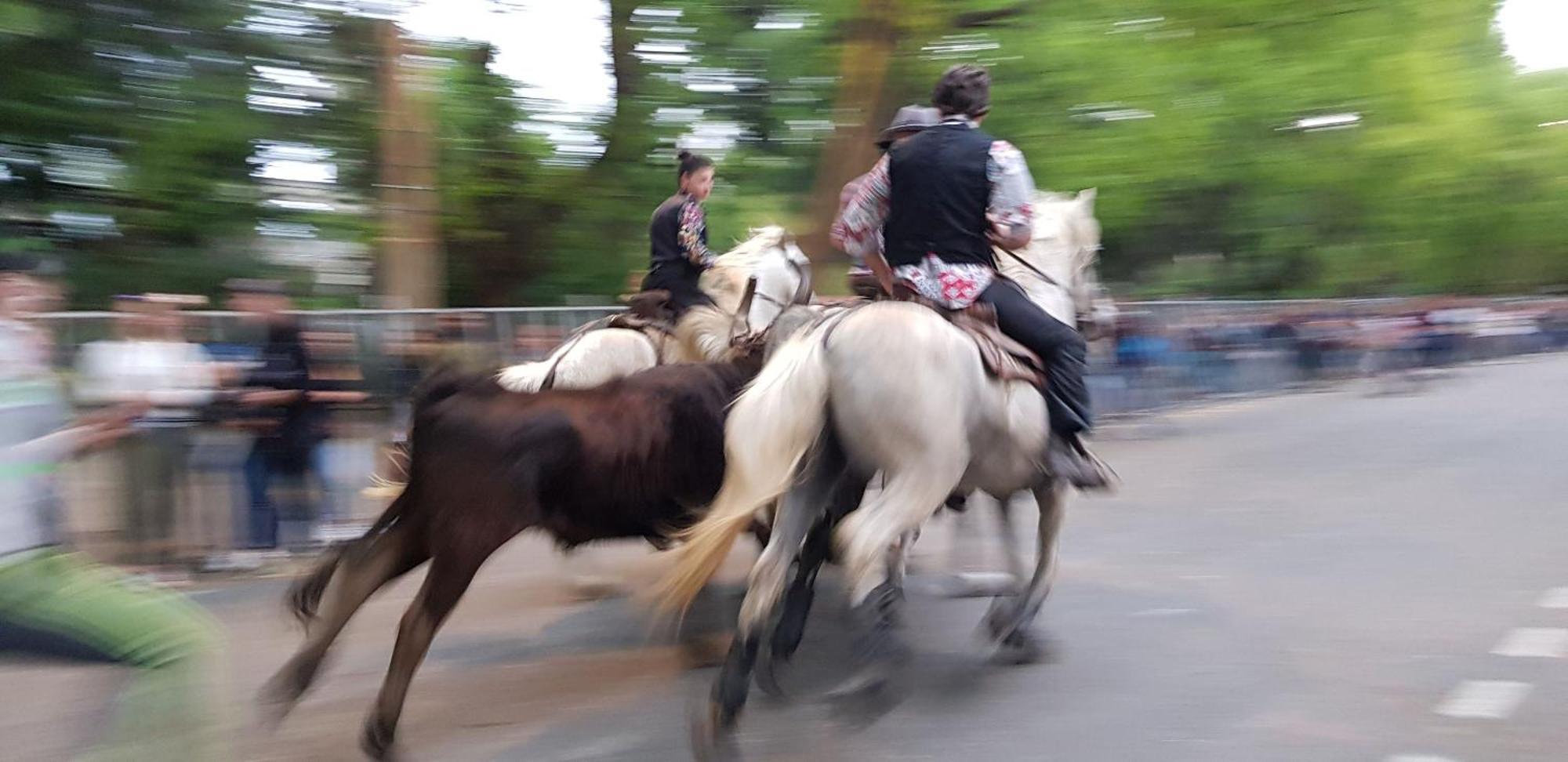 Le Cheval Blanc Hotel Arles Bagian luar foto